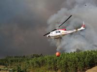 Ler notícia: Ministro da Agricultura tem três meses para fazer plano de ação para a floresta