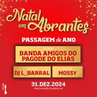 Ler notícia: Passagem de Ano na Barão da Batalha e Concerto de Ano Novo no Pego