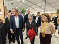 Ler notícia: Abriu portas a Feira Nacional de Doçaria que este ano destaca a Estrada Nacional 2 (c/áudios de fotos)