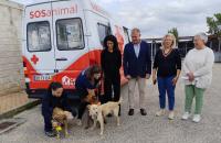 Ler notícia: Abrantes tem proteção animal reforçada com viatura de recolha e sala de cirurgias (com áudio e fotos)