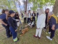 Parque Urbano de S. Lourenço está a receber Festival das Juventudes (C/ Áudio e Fotos)