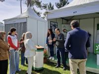 Parque Urbano de S. Lourenço está a receber Festival das Juventudes (C/ Áudio e Fotos)