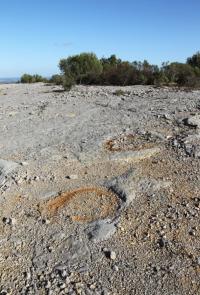 Pegadas de dinossáurios descobertas há 20 anos tornadas públicas