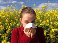 Ler notícia: Concentração de pólen no ar baixa a moderada no Continente