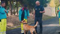 Ler notícia: Ascendi e GNR reforçam proteção animal e segurança rodoviária nas autoestradas