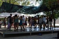 Festival «Dançarão» leva música e dança «folk» a Ortiga 