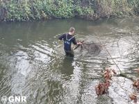 GNR apreende meios de pesca ilegal 