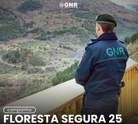 Ler notícia: GNR reforça vigilância das florestas contra incêndios e já deteve 18 pessoas