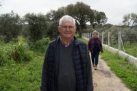 «Apadrinha uma Oliveira» já tem a gestão de mais de 1.700 oliveiras (c/áudio)