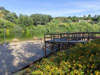 Águas Límpidas da Praia Fluvial de Constância atraem turistas