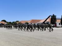 Tancos assinalou os 377 anos da Engenharia do Exército Português (c/áudio, fotos e vídeo)