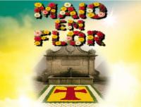 Ler notícia: Cultura de um Povo promove iniciativa ‘Maio em Flor’