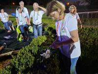 O tapete de flores de Sardoal para a Cerimónia do Acolhimento com o Papa (fotogaleria)