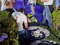 O tapete de flores de Sardoal para a Cerimónia do Acolhimento com o Papa (fotogaleria)