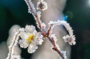 Ler notícia: Temperaturas descem a partir de hoje em especial a mínima