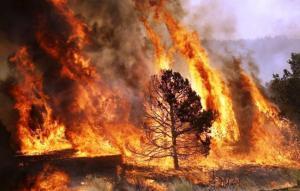 INFORMAÇÃO ANTENA LIVRE - ESPECIAL INCÊNDIOS - 23H