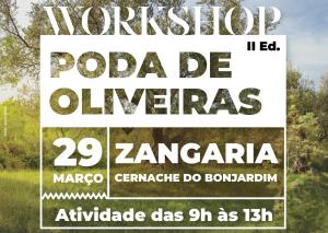 Ler notícia: Workshop de Poda de Oliveiras já vai na 2.ª edição