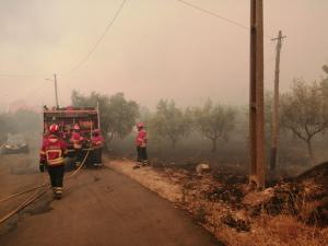 INFORMAÇÃO ANTENA LIVRE - ESPECIAL INCÊNDIOS - 18H 