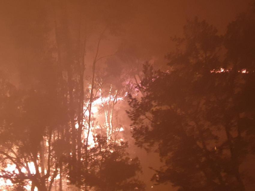 INFORMAÇÃO ANTENA LIVRE - ESPECIAL INCÊNDIOS - 17H