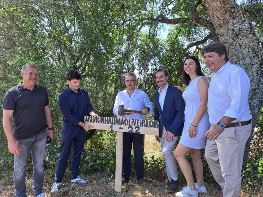 Projeto «Apadrinha Uma Oliveira» pretende recuperar 10 mil oliveiras (c/áudio, vídeo e fotos)