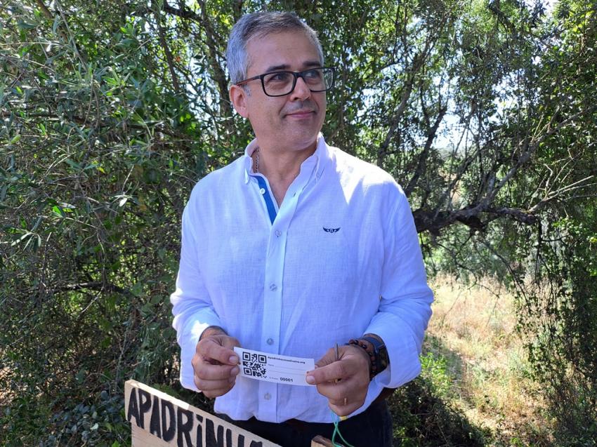 Projeto incentiva apadrinhamento de oliveiras abandonadas em Abrantes