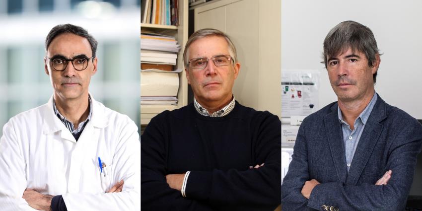 Universidade do Minho tem três dos cientistas mais citados no mundo