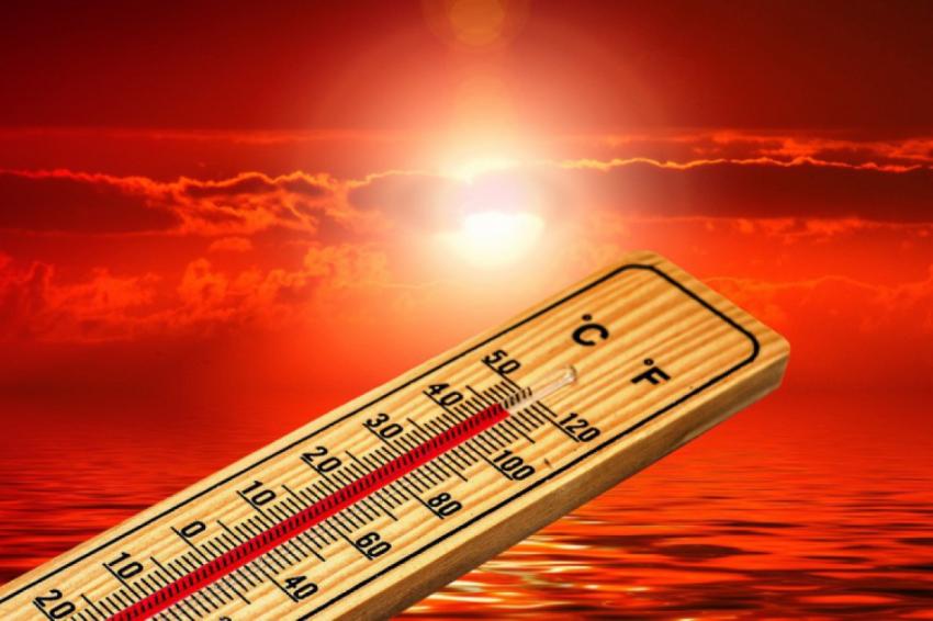 Portugal em alerta para nova onda de calor a partir de 20 de agosto