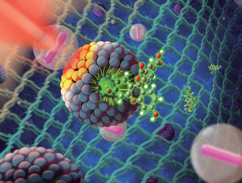 Investigadores da UMinho desenvolvem nanomateriais para terapia combinada do cancro