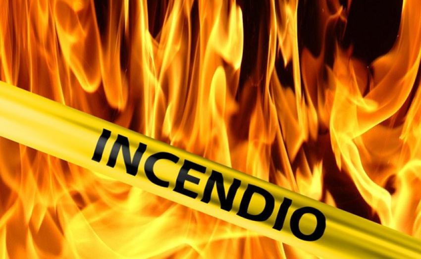 INFORMAÇÃO ANTENA LIVRE - ESPECIAL INCÊNDIOS - 01H