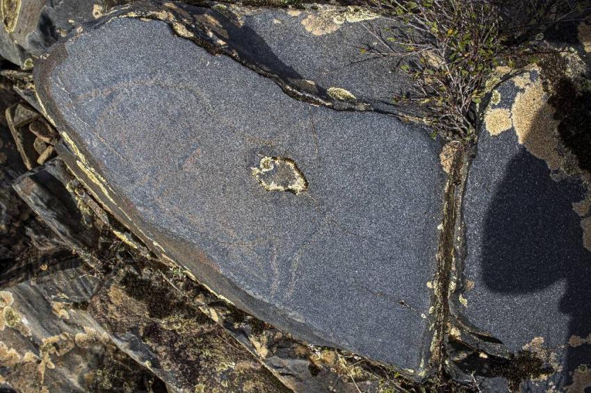 Descoberta nova gravura rupestre com mais de 20 mil anos no vale do Ocreza