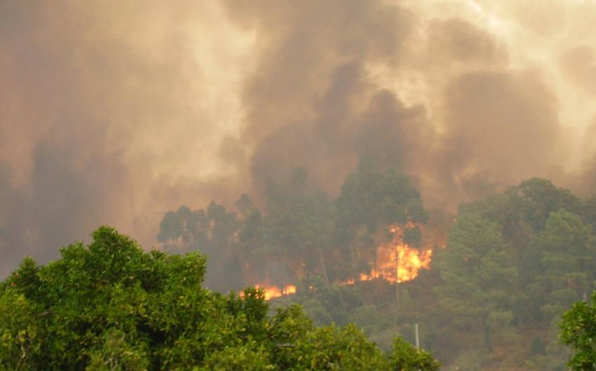 Cerca de 120 concelhos do interior Norte e Centro em risco máximo de incêndio