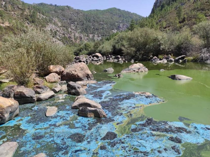 Ambientalistas apelam ao Governo para terminar com a poluição no rio Ocreza