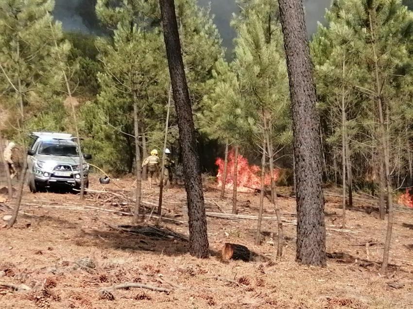 INFORMAÇÃO ANTENA LIVRE - ESPECIAL INCÊNDIOS - 16H