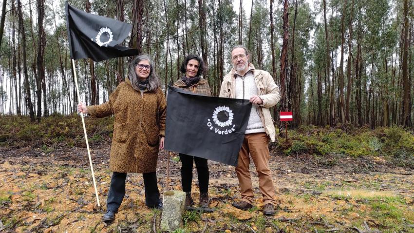 Os Verdes plantaram bandeira negra contra eucaliptos no Carvalhal (c/áudio)